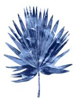 Indigo Palm IV #MMR114323 Indigo Palm IV #MMR114323
