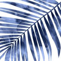 Tropical Indigo Palm I #MMR114332 Tropical Indigo Palm I #MMR114332