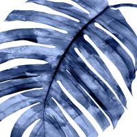 Tropical Indigo Palm II #MMR114333 Tropical Indigo Palm II #MMR114333