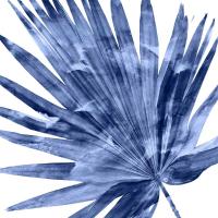 Tropical Indigo Palm IV #MMR114335 Tropical Indigo Palm IV #MMR114335