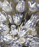Tulip Bouquet #MQ115032 Tulip Bouquet #MQ115032