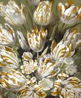 Golden Tulip Bouquet #MQ115033 Golden Tulip Bouquet #MQ115033
