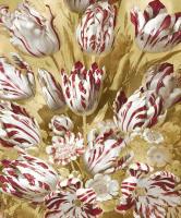 Tulip Bouquet in Red #MQ115035 Tulip Bouquet in Red #MQ115035