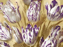 Tulips on Gold I #MQ115036 Tulips on Gold I #MQ115036