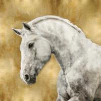 White Stallion on Gold #MRR113460 White Stallion on Gold #MRR113460