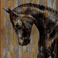 Horse I #MRR7377 Horse I #MRR7377