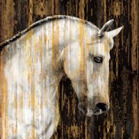 Horse II #MRR7378 Horse II #MRR7378