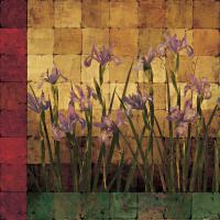 Iris Garden #MW5582 Iris Garden #MW5582