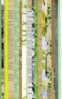 Paper Strip Collage C #90943 Paper Strip Collage C #90943