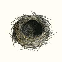 Watercolor Forest Nest #91074 Watercolor Forest Nest #91074