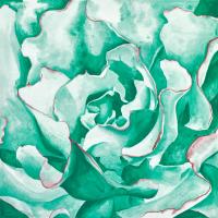 Untitled #98327 Untitled #98327