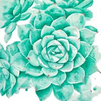 Untitled #98328 Untitled #98328
