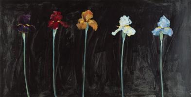 Midnight Irises #75068 Midnight Irises #75068