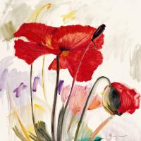 Crimson Poppy 2 #70456 Crimson Poppy 2 #70456