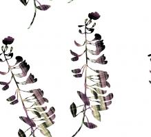 Untitled #91208 Untitled #91208