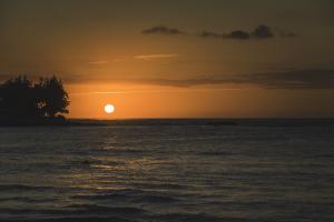 Untitled #92962 Untitled #92962
