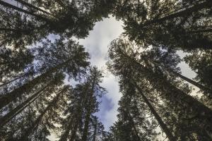 Untitled #92966 Untitled #92966