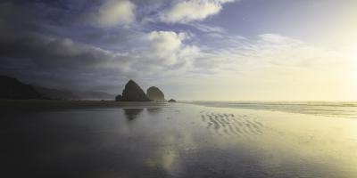 Untitled #92968 Untitled #92968