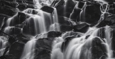 Untitled #92970 Untitled #92970