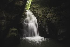 Untitled #92973 Untitled #92973