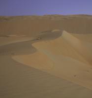 Untitled #92974 Untitled #92974