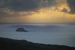 Untitled #92979 Untitled #92979