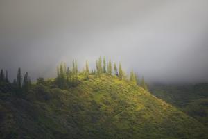 Untitled #92980 Untitled #92980