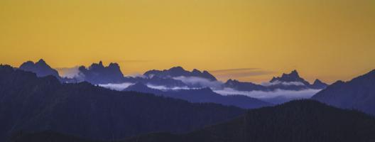 Untitled #92986 Untitled #92986