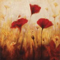 Poppies and Daisies I #NC7070 Poppies and Daisies I #NC7070
