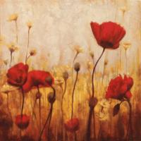 Poppies and Daisies II #NC7071 Poppies and Daisies II #NC7071