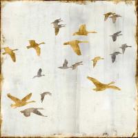 Golden Flight II #NSP111625