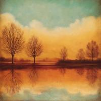 Reflections of Autumn I #NT6422 Reflections of Autumn I #NT6422