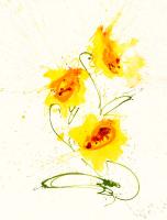 Untitled #102103 Untitled #102103