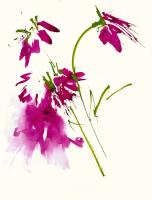 Untitled #93078 Untitled #93078