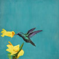 Untitled #98251 Untitled #98251