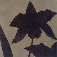 Orchid II #OCHA-223 Orchid II #OCHA-223