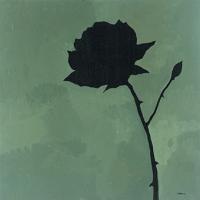 Rose II #OCHA-227 Rose II #OCHA-227