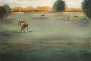 Sunny Pasture #OJAR-3135 Sunny Pasture #OJAR-3135