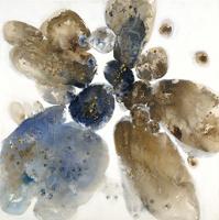 Natural Elements #OJAR-3271 Natural Elements #OJAR-3271