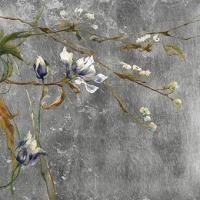 Hidden Beauty II #OJAR-3276 Hidden Beauty II #OJAR-3276