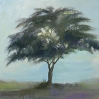 Soulful Space #OJAR-3351 Soulful Space #OJAR-3351
