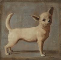 Chihuahua #OMAC-132 Chihuahua #OMAC-132