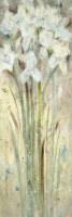 Gaze II #OMAR-145 Gaze II #OMAR-145