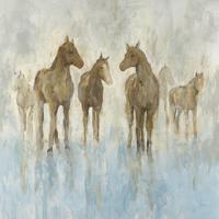 Horses #PHIB-218 Horses #PHIB-218