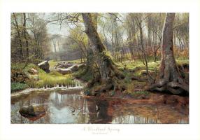 A Woodland Spring #PM3081