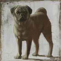 Pug #PMAC-130 Pug #PMAC-130