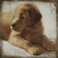 Retriever #PMAC-131 Retriever #PMAC-131