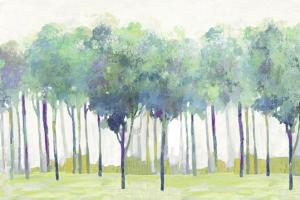 Teal Visions #PS325-A Teal Visions #PS325-A