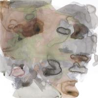 Amorphous D #89372 Amorphous D #89372