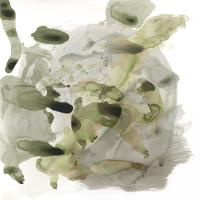 Amorphous E #89373 Amorphous E #89373